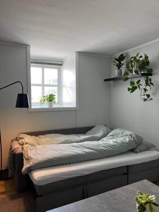 Cozy Ground Floor Apartment 트롬쇠 외부 사진