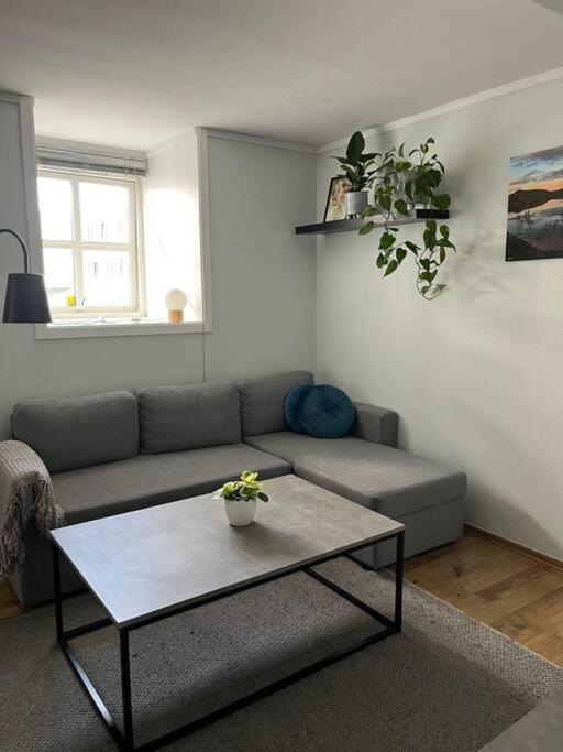 Cozy Ground Floor Apartment 트롬쇠 외부 사진